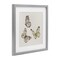 Stupell Industries Isolated Butterflies on Beige Framed Print Under Glass, design by Patricia Pinto